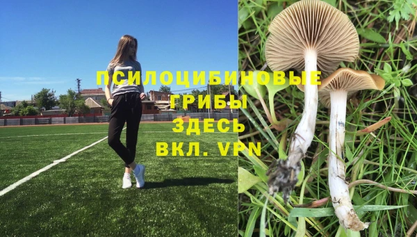 бутират Абинск