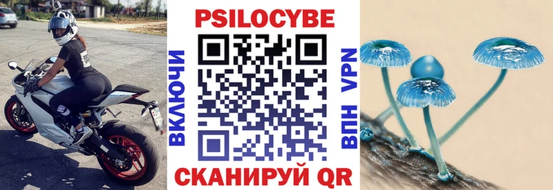наркошоп  Новочебоксарск  Псилоцибиновые грибы Psilocybine cubensis 